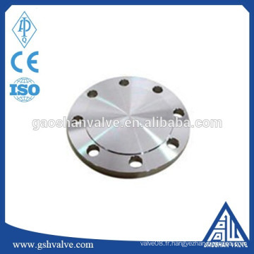 ANSI 6 pouces CL300 Steel Blind Flange